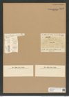 Eucampia zodiacus var. cornigera Grun. (de-Toni-Nr.: Genus 142, Species 4081) Zeichnungen Sammlung Grunow Nr. 7619 (NHMW-BOT-W0376794)